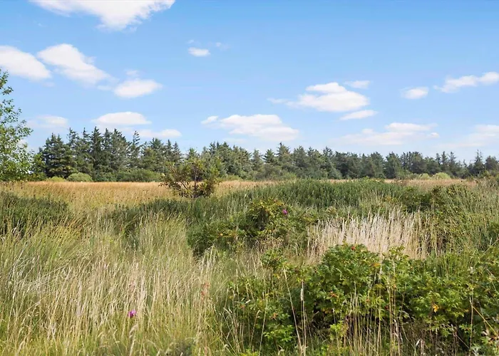 Vakantiehuis 1372-thisted-nordsovej-222 Nørre Vorupør